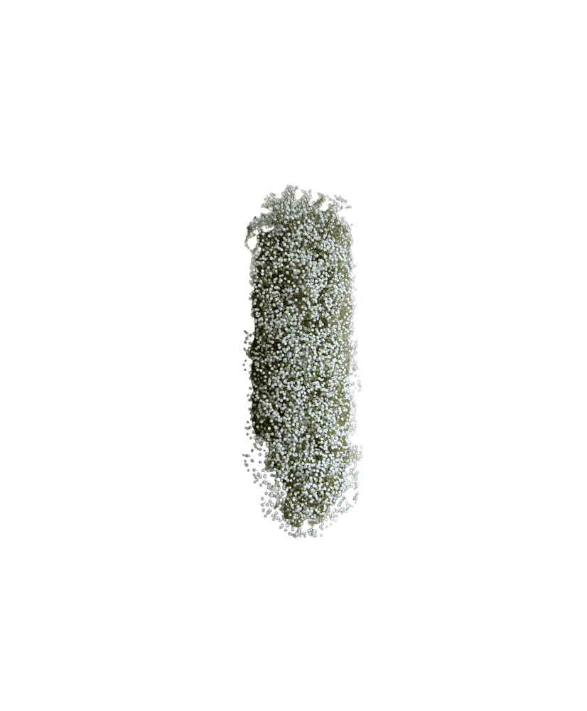 Chemin de fleurs Gypsophile 1M
